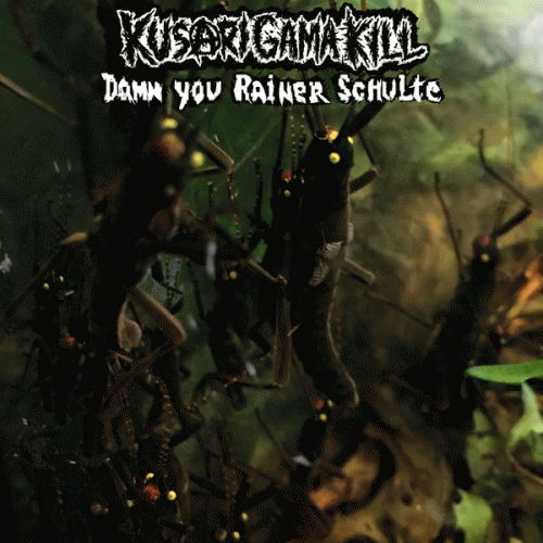 Damn You Rainer Schulte